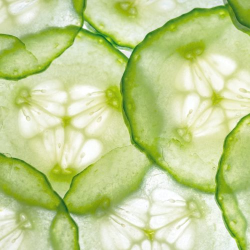 cucumbers-4672244_1920